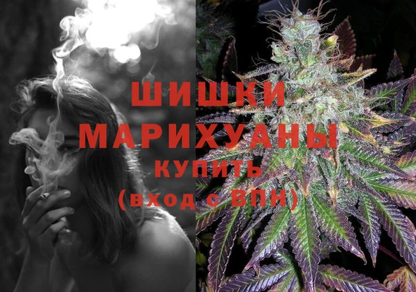apvp Надым