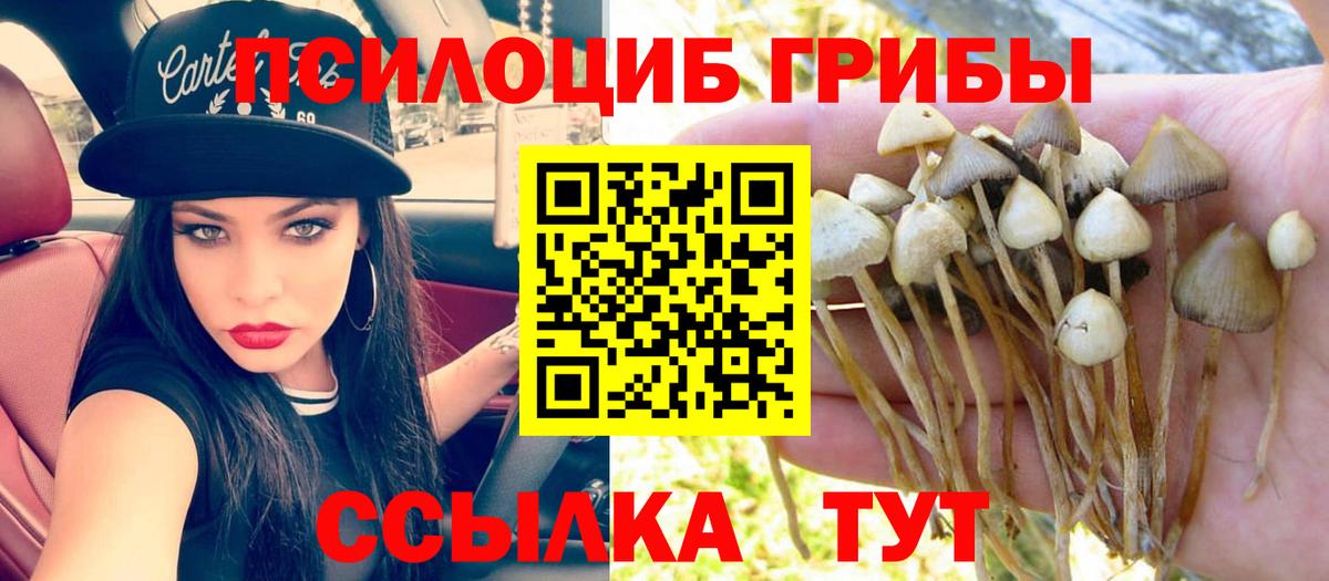 Псилоцибиновые грибы Magic Shrooms Ржев